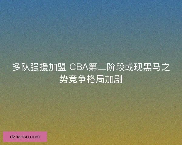 多队强援加盟 CBA第二阶段或现黑马之势竞争格局加剧 多队强援加盟 CBA第二阶段或现黑马之势竞争格局加剧