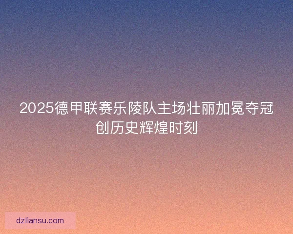 2025德甲联赛乐陵队主场壮丽加冕夺冠创历史辉煌时刻