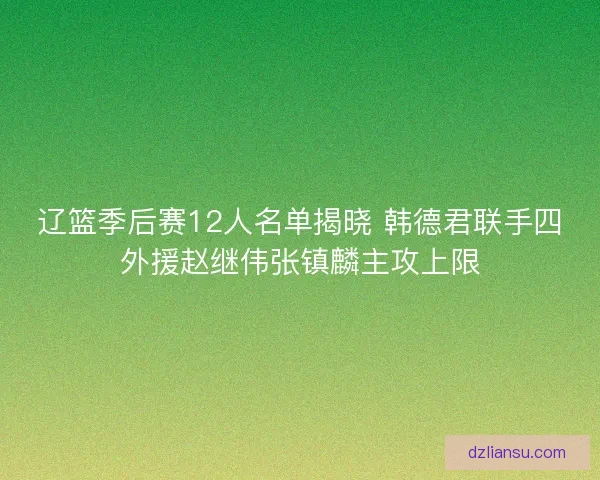 辽篮季后赛12人名单揭晓 韩德君联手四外援赵继伟张镇麟主攻上限